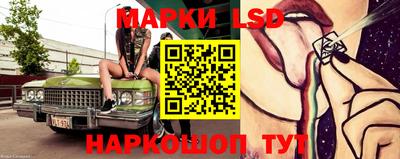 МДПВ Кингисепп