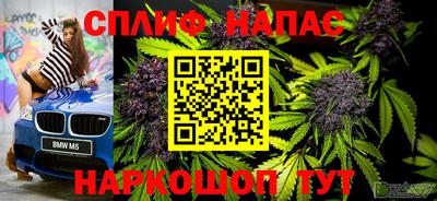 стаф Кимры