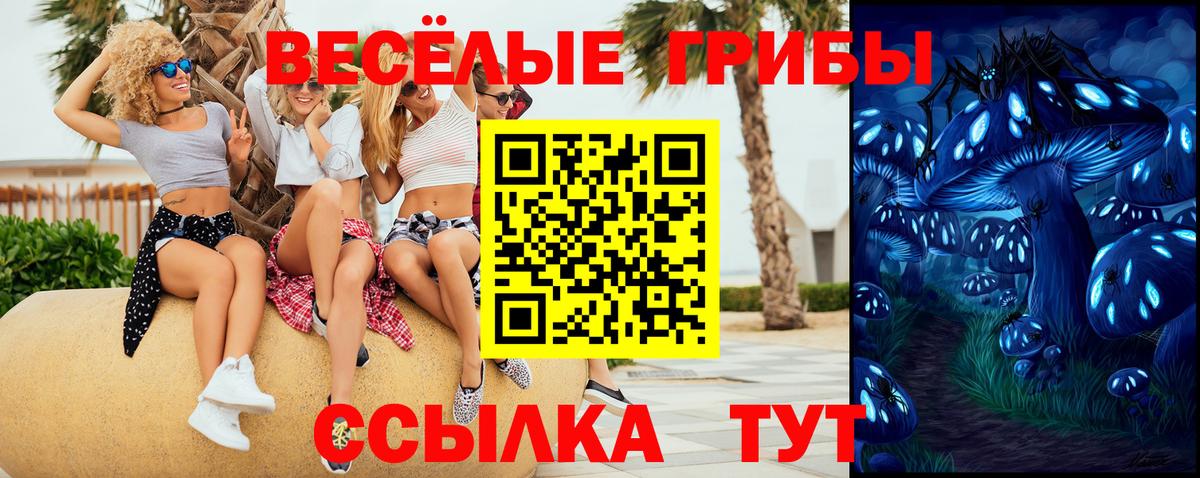 Псилоцибиновые грибы мицелий Чебоксары