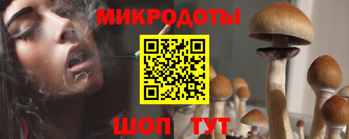 Чебоксары  Псилоцибиновые грибы Cubensis  Вход с VPN 